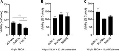 Imprecision in Precision Medicine: Differential Response of a Disease-Linked GluN2A Mutant to NMDA Channel Blockers